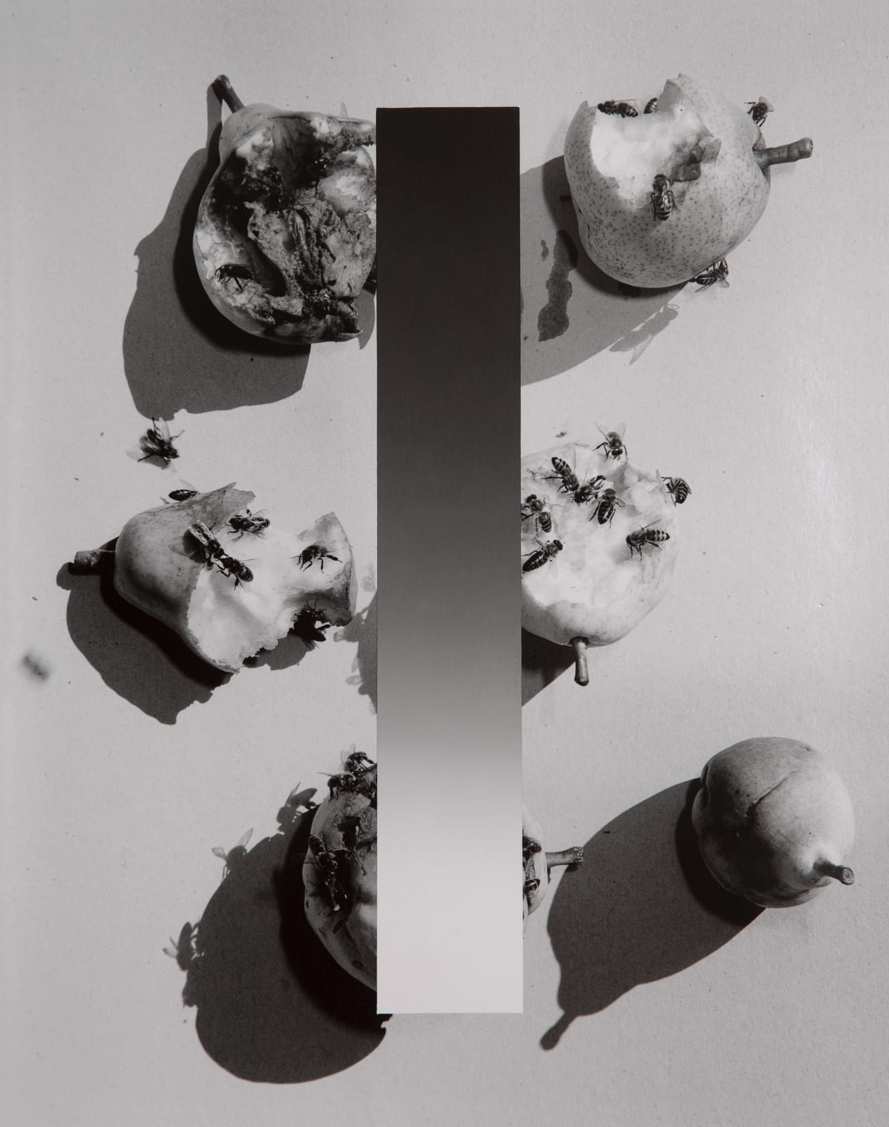 Peter Watkins, Paradise Gardens, 2022