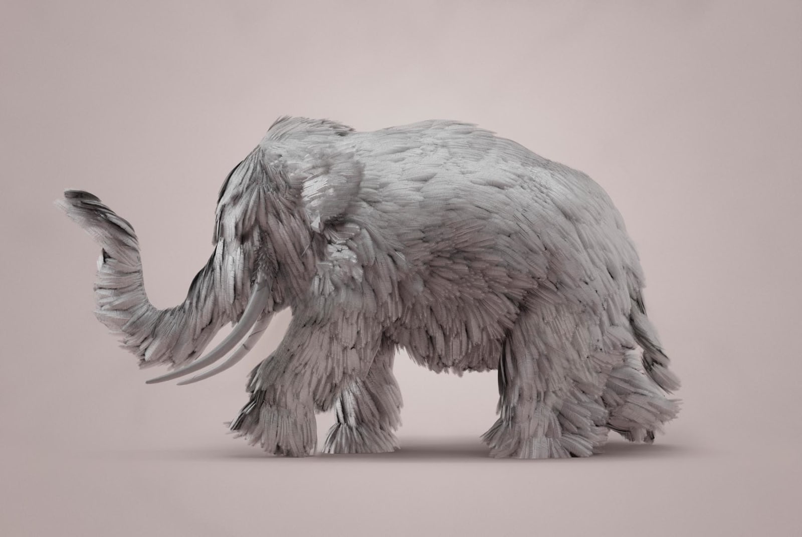 Vincent Fournier, Éléphant Mirage (Elephantus mirari) Créateur de mirages, 2022