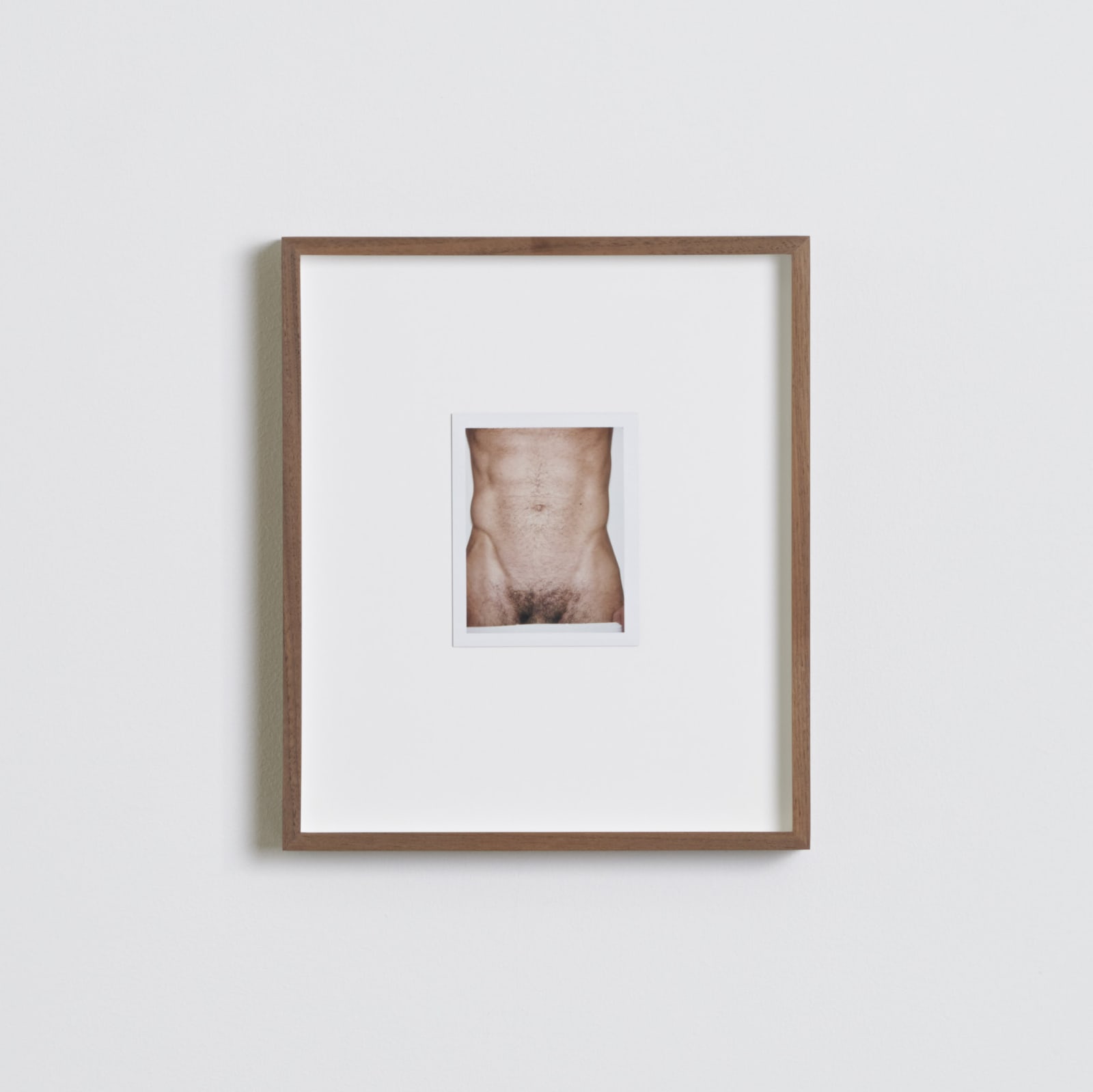 Ferry van der Nat, Sukru 'Abdominis' (April), 2013
