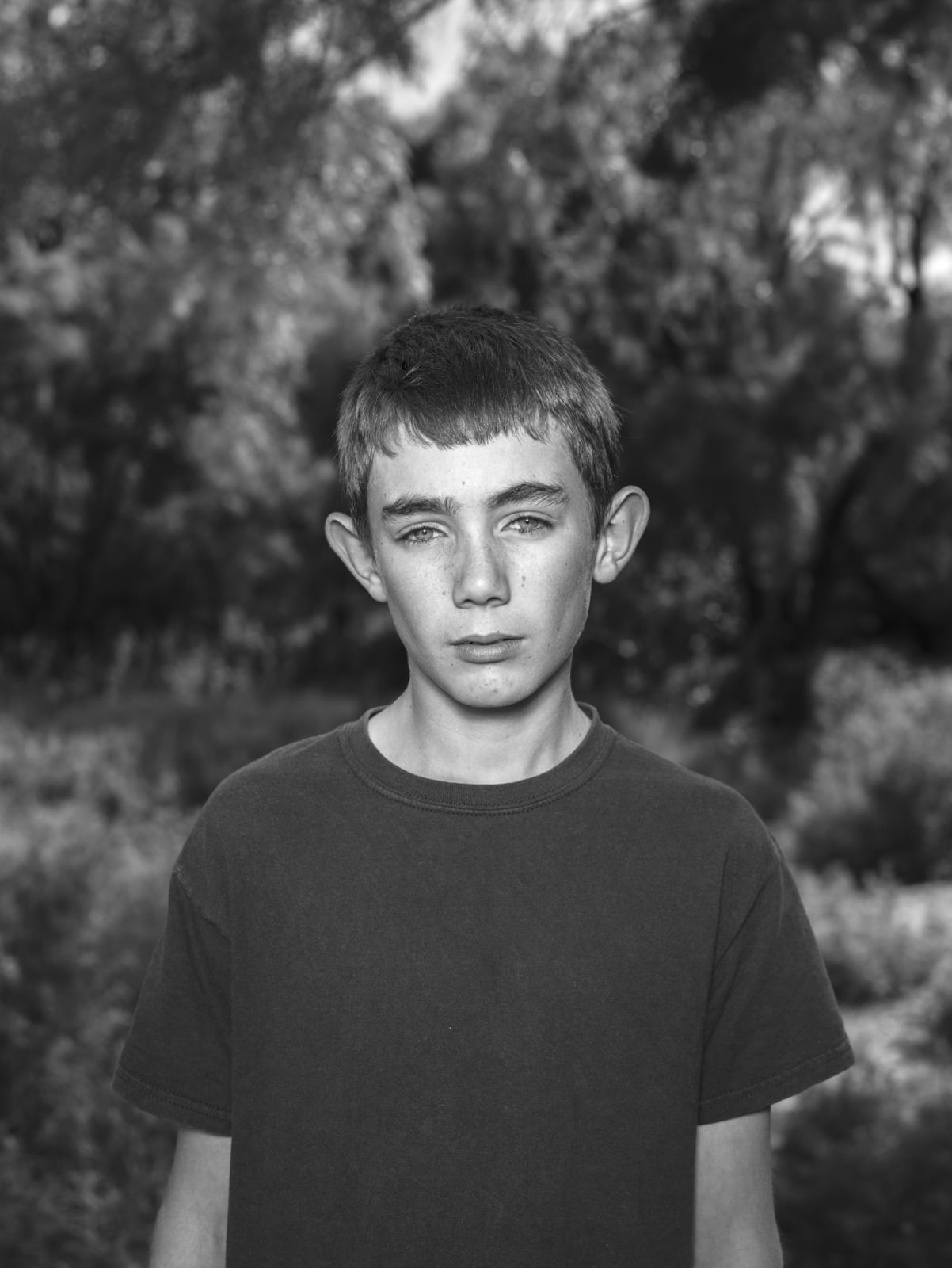Robin de Puy, If this is true... / Fernando, Abilene (Texas), 2015