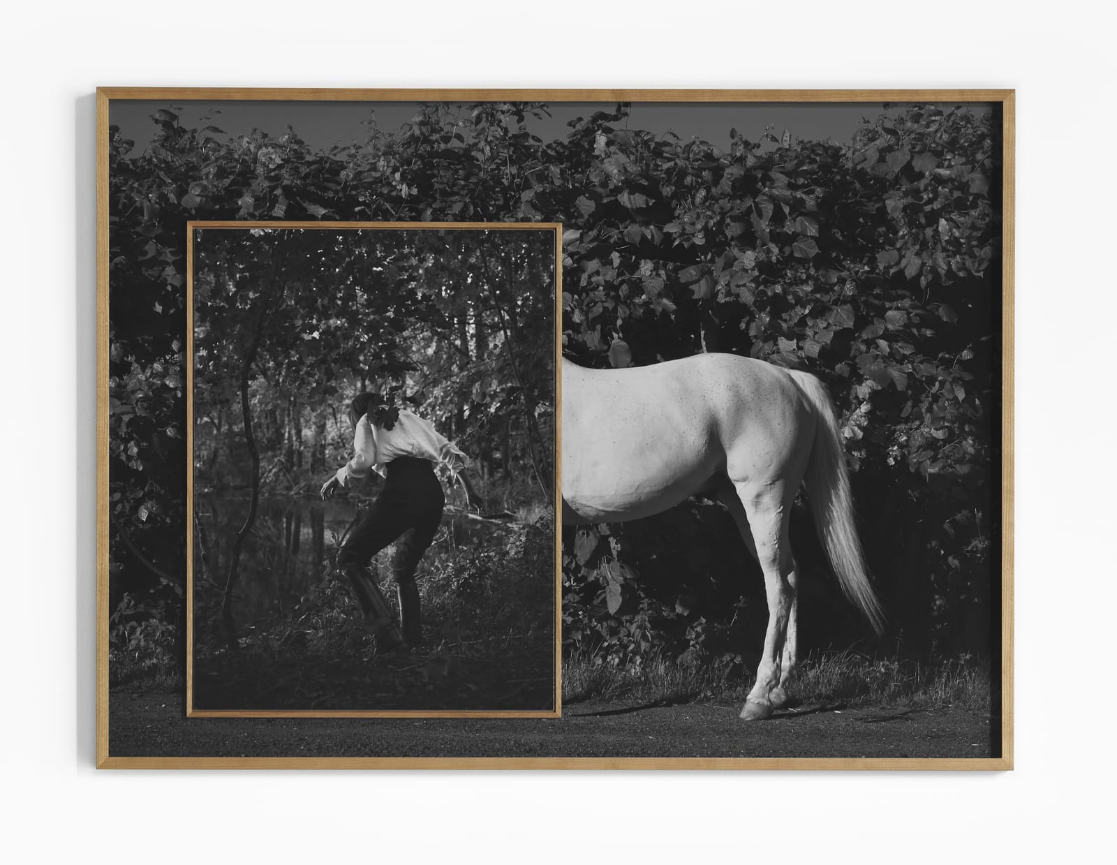 Anja Niemi, White Horse and the Lake, 2021