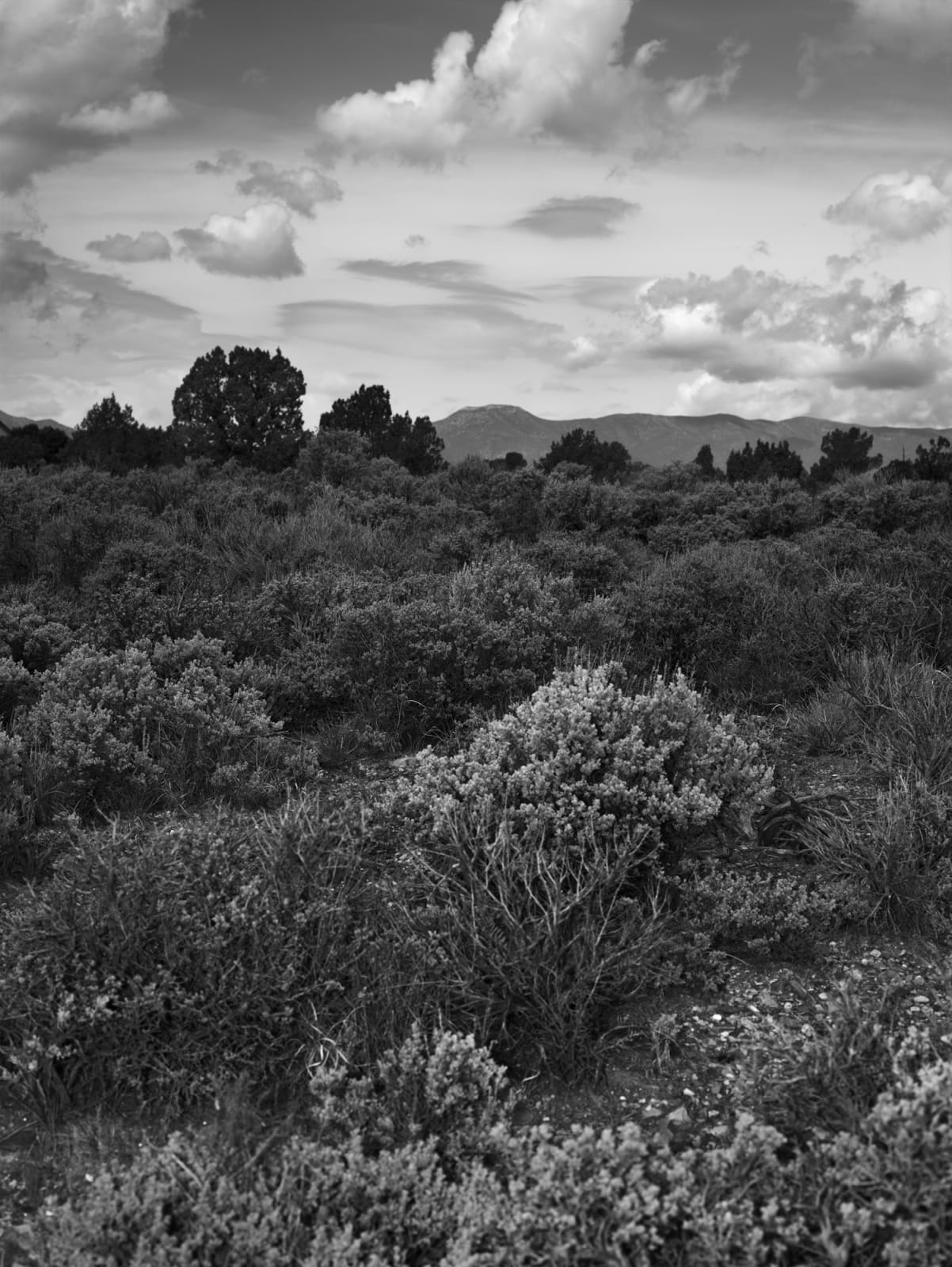 Robin de Puy, If this is true... / Pioche (Nevada) (2), 2015