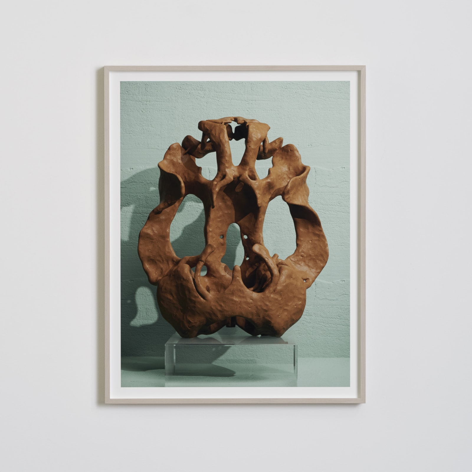 Koen Hauser, The Skull, 2019