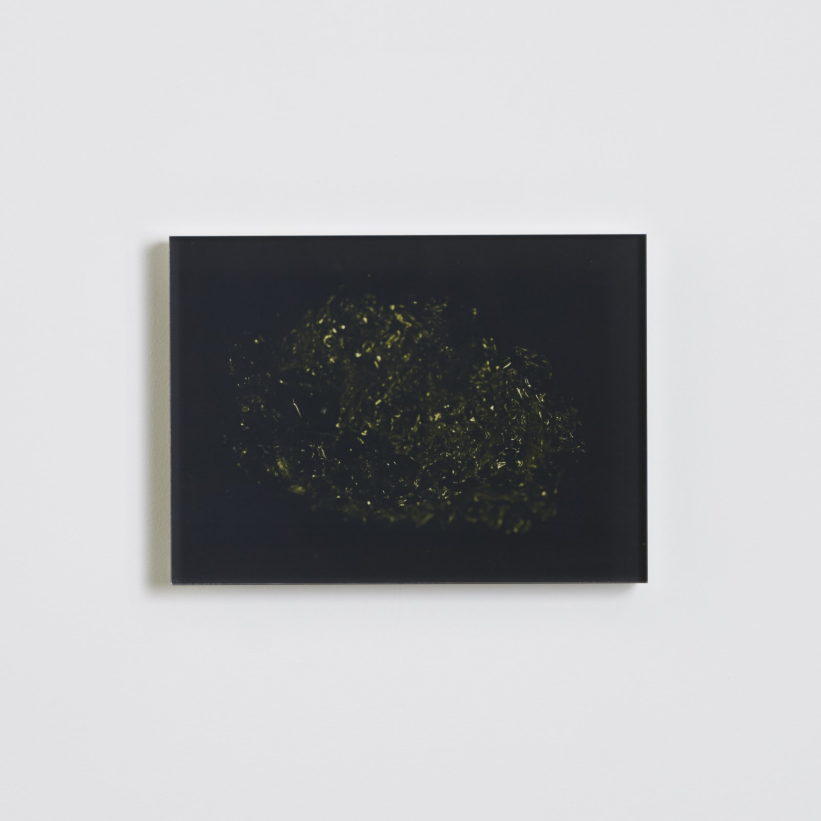Koen Hauser, Ephemera, # 7, 2011