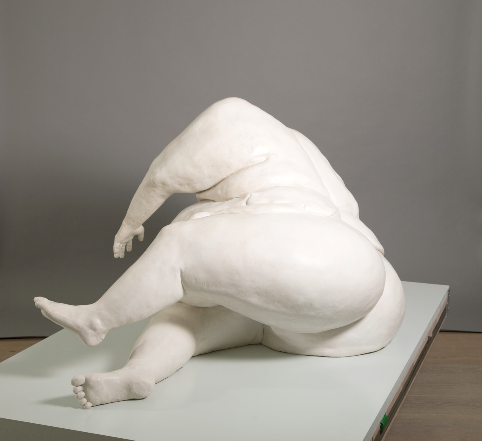 Mariken Wessels, Arising from the Ground - Model Cox III, 2018
