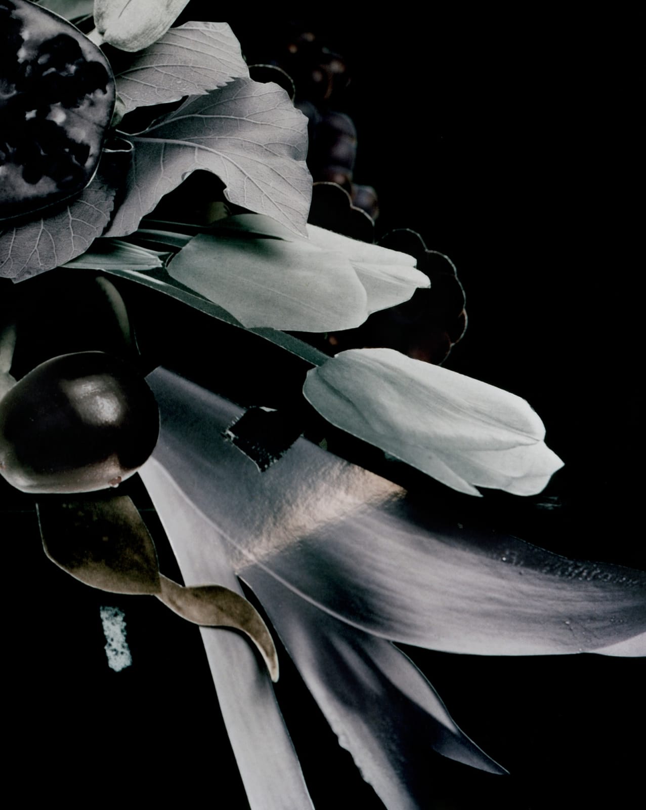 Scheltens & Abbenes, Bouquet III, 2005