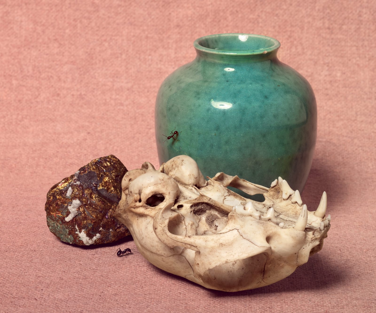 Koen Hauser, Tableau IV, 2015