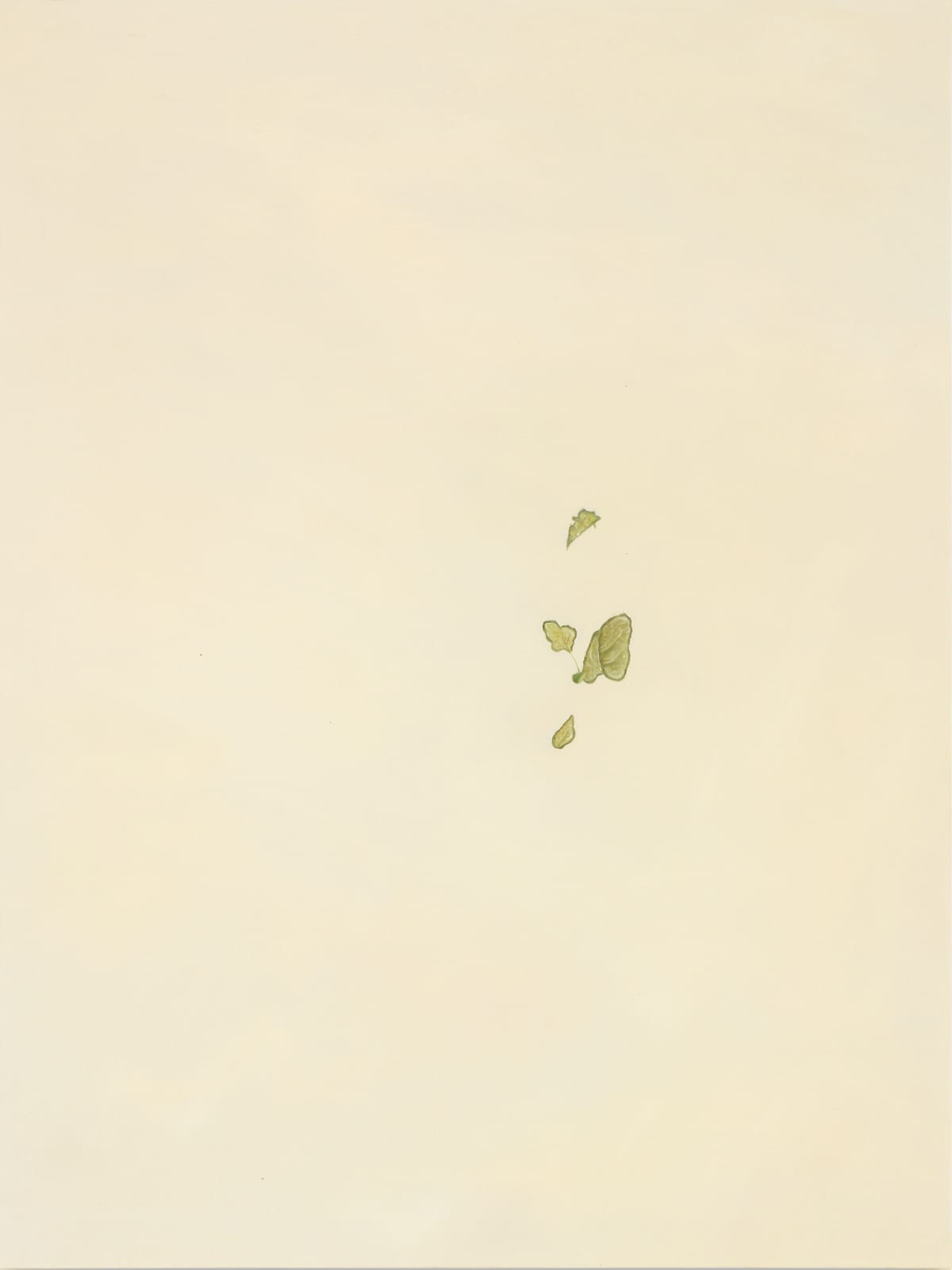 aurèce vettier, element/archipel4go, 2021