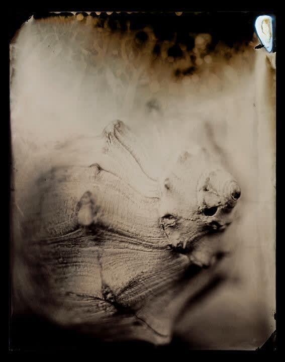 Lara Porzak, Shell, 2015