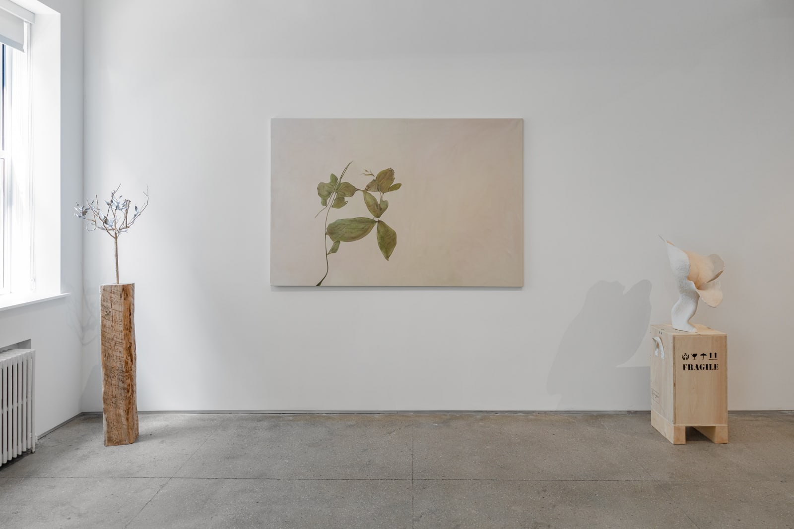 aurèce vettier, unknown samples (mid-altitude), 2021