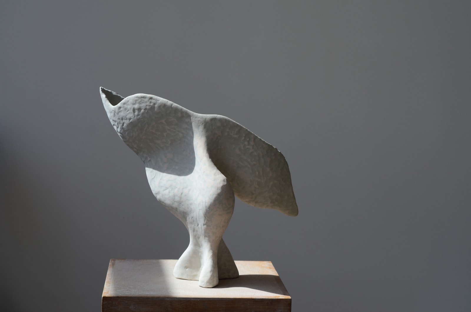 Olga Sabko, Desperate Birds, 2022