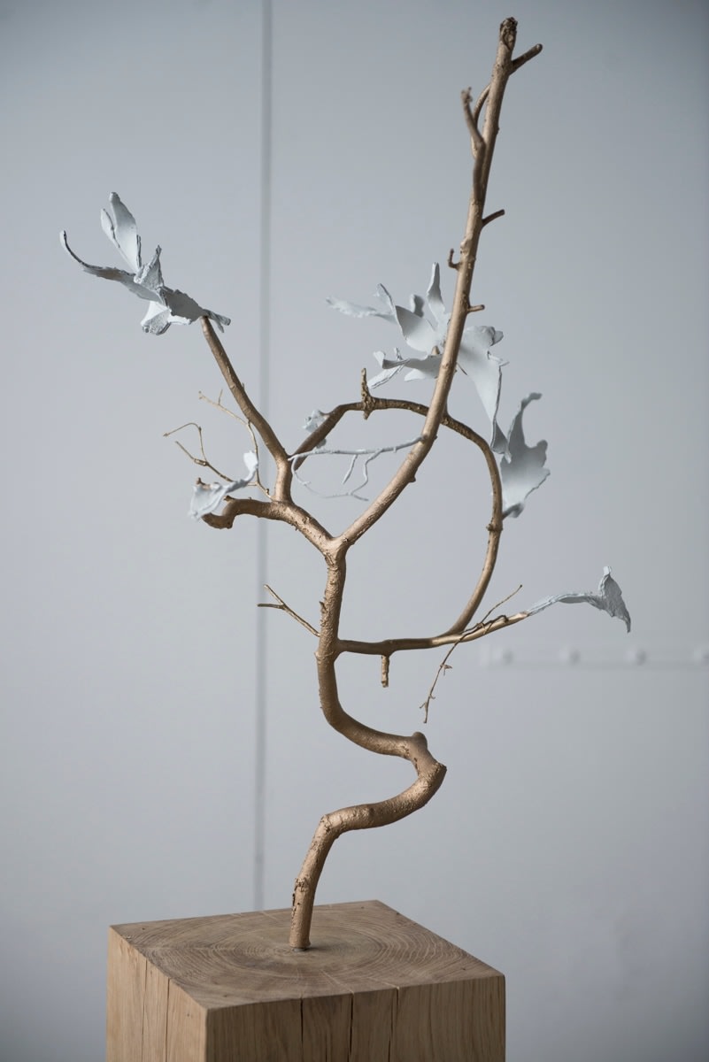 aurece vettier, nebulae floratendrum (found on Mount Analogue), 2024