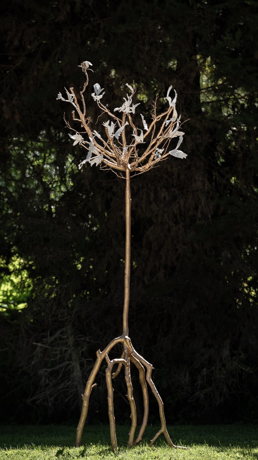 aurèce vettier, sinuiflora absurdica (imp0ssibl3 tr33/1), 2024