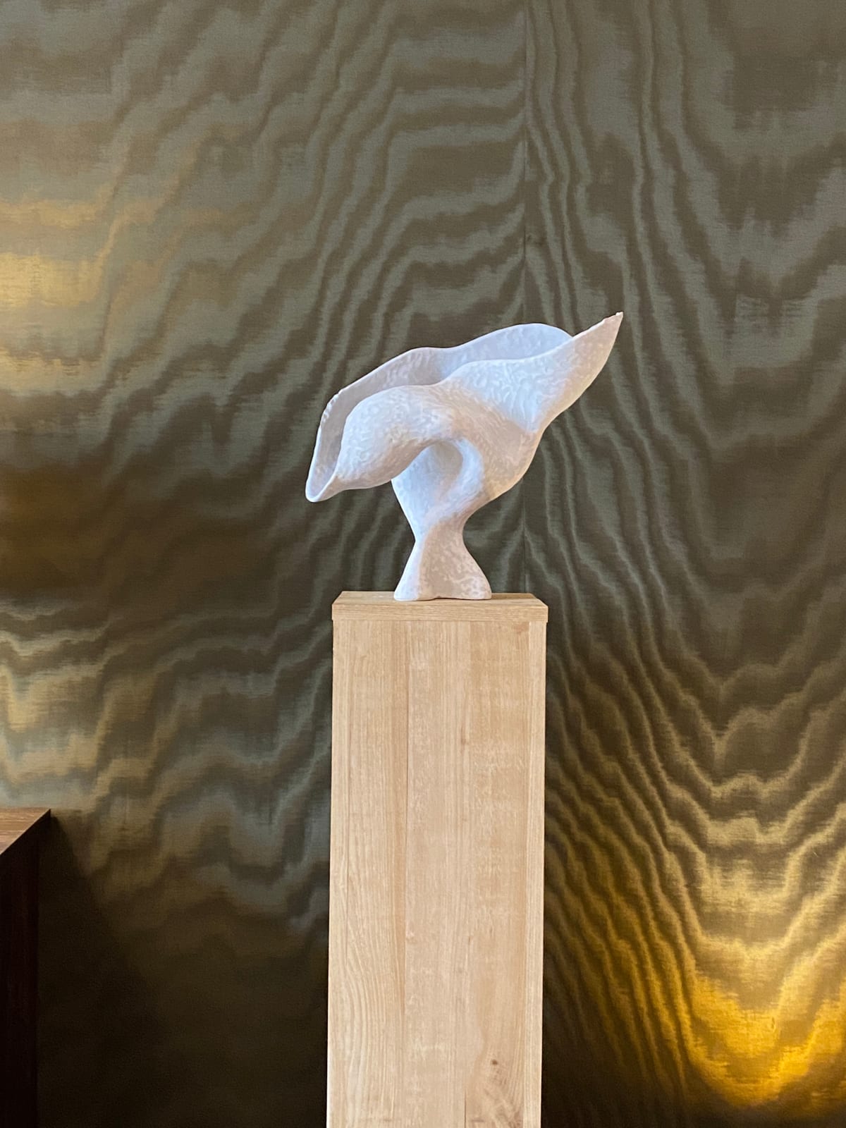 Olga Sabko, Desperate Birds, 2022