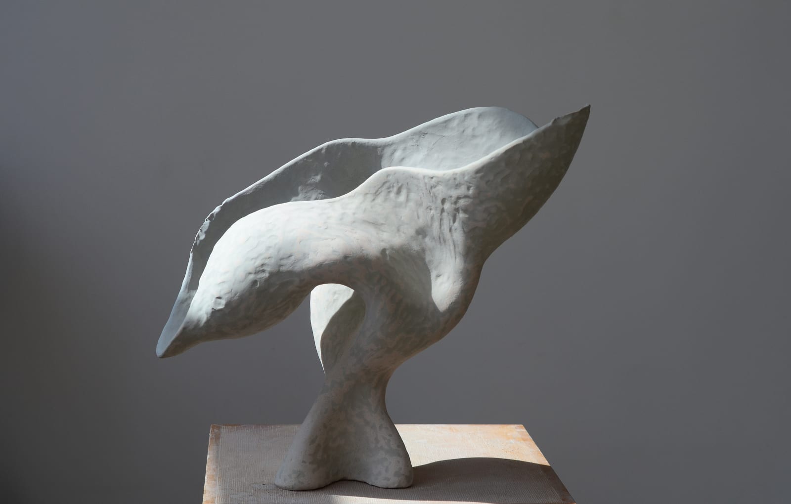 Olga Sabko, Desperate Birds, 2022