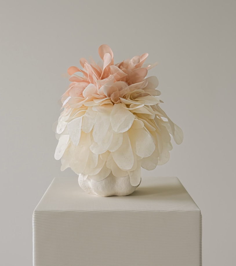 Hanna Heino, NEMORÉ VIII, 2025