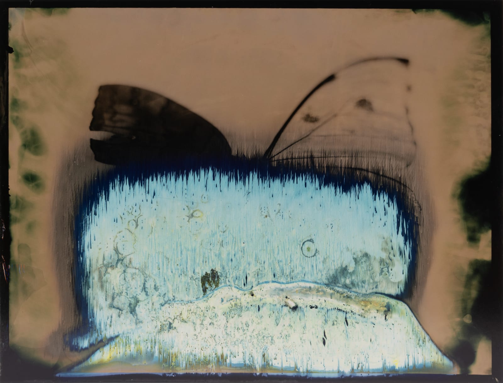 Lara Porzak, Moby, 2014