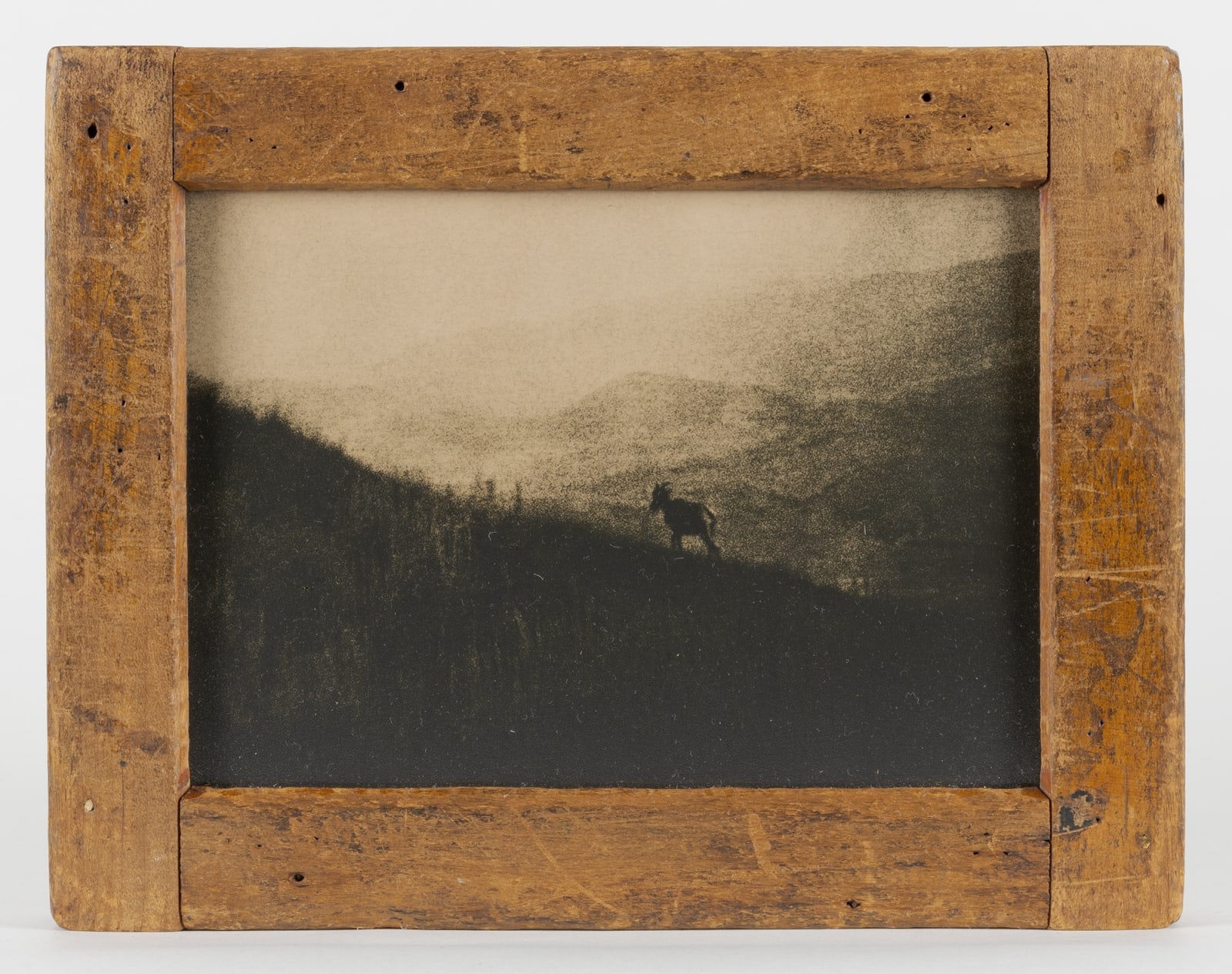 Lara Porzak, Pronghorn Sheep, 2024