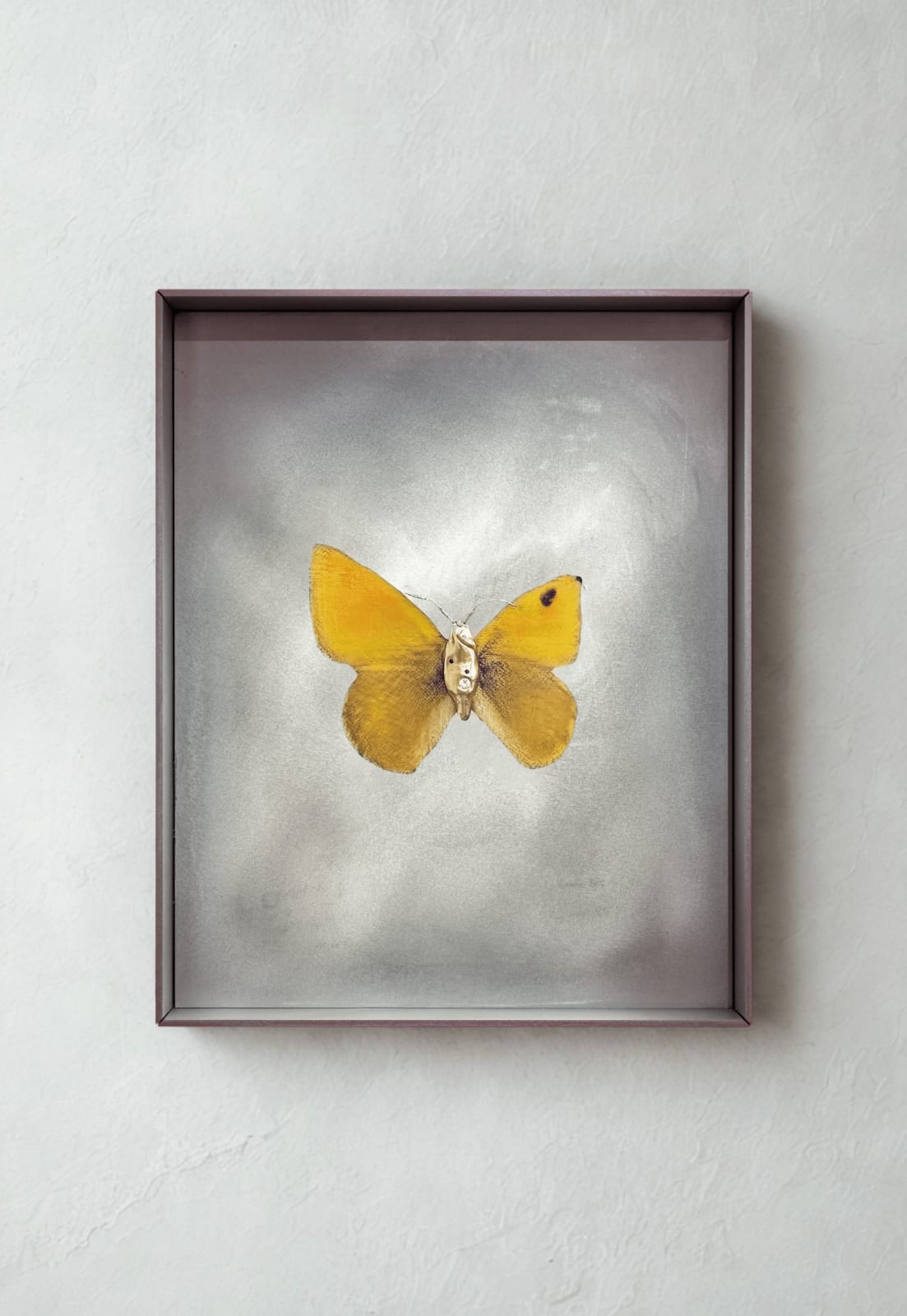 aurèce vettier, chrysodryas (sent by her, Anjou), 2024