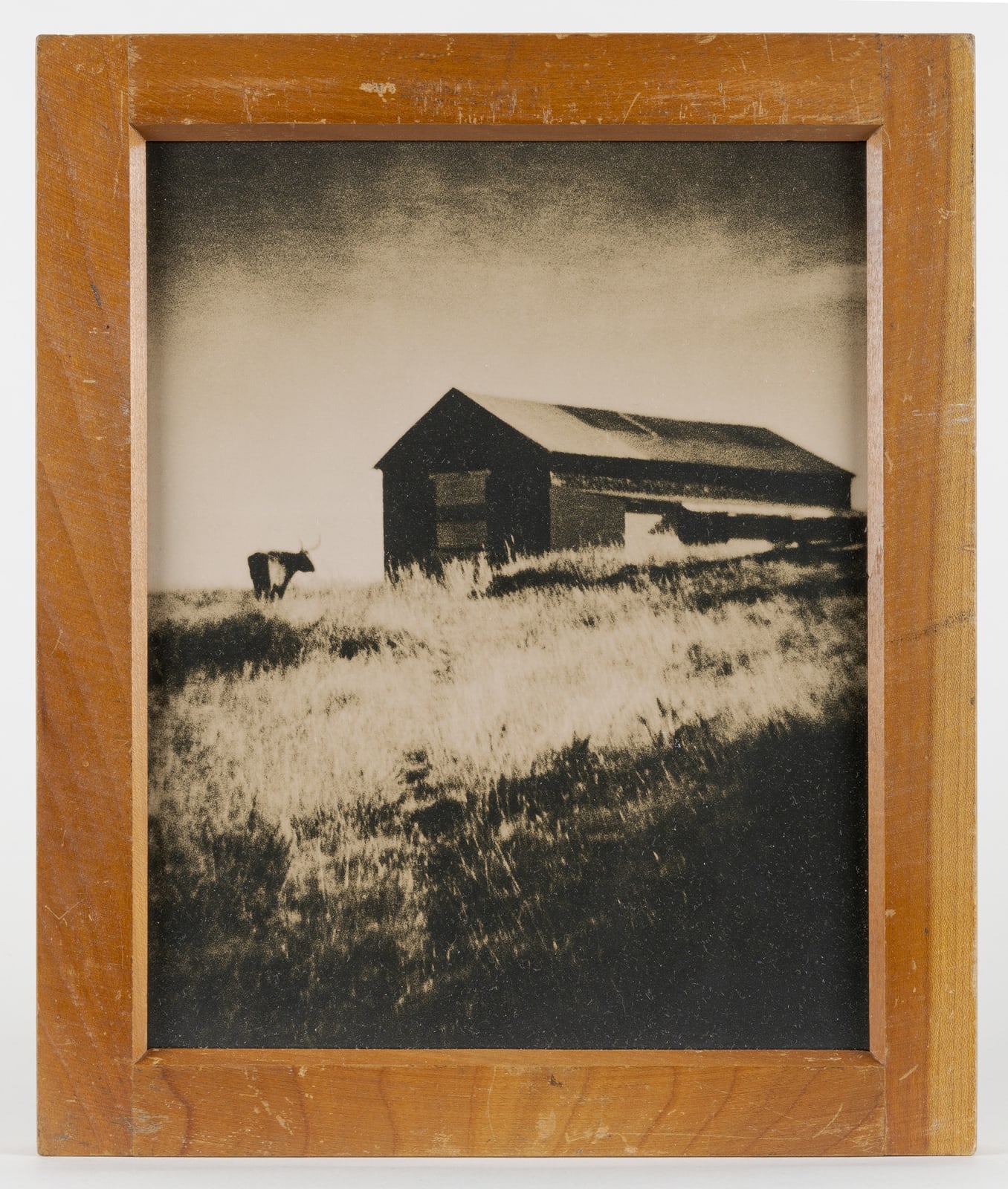 Lara Porzak, Longhorn Romero Ranch, New Mexico