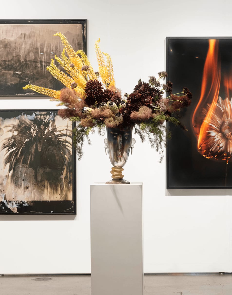 Hugh Findletar, Primitive Yoyo, 2021