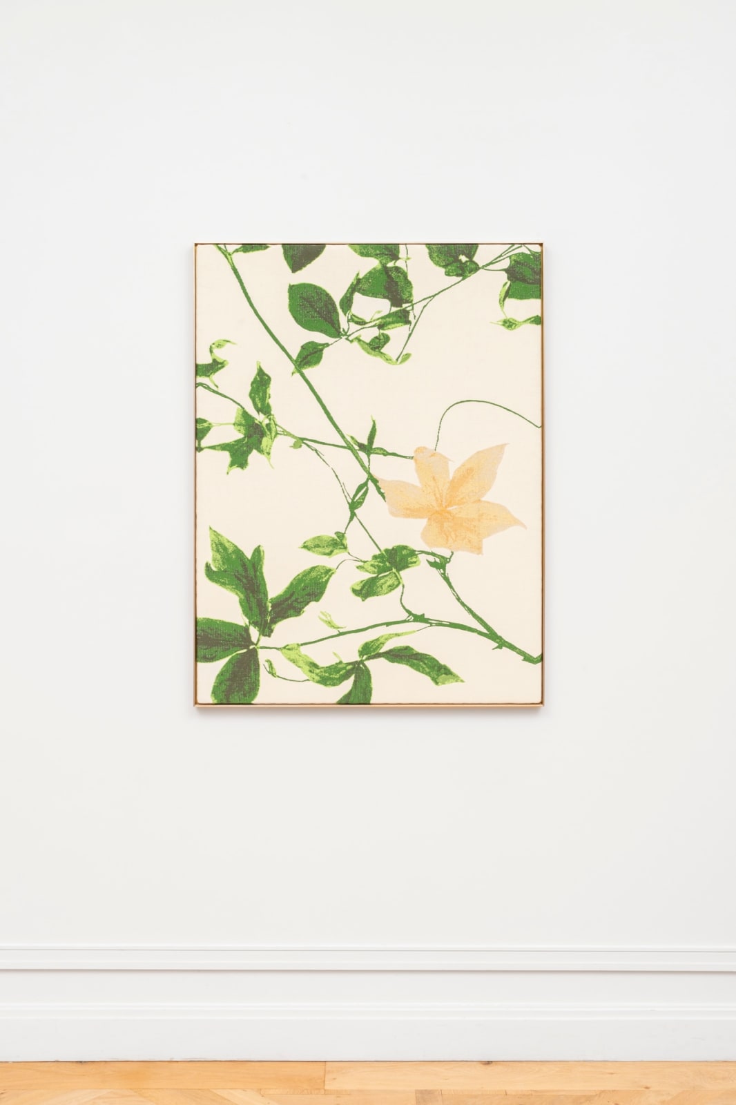 aurèce vettier, Distorstella montana (initiating transmutation into peradam), 2025