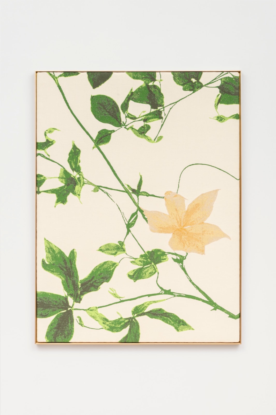 aurèce vettier, Distorstella montana (initiating transmutation into peradam), 2025