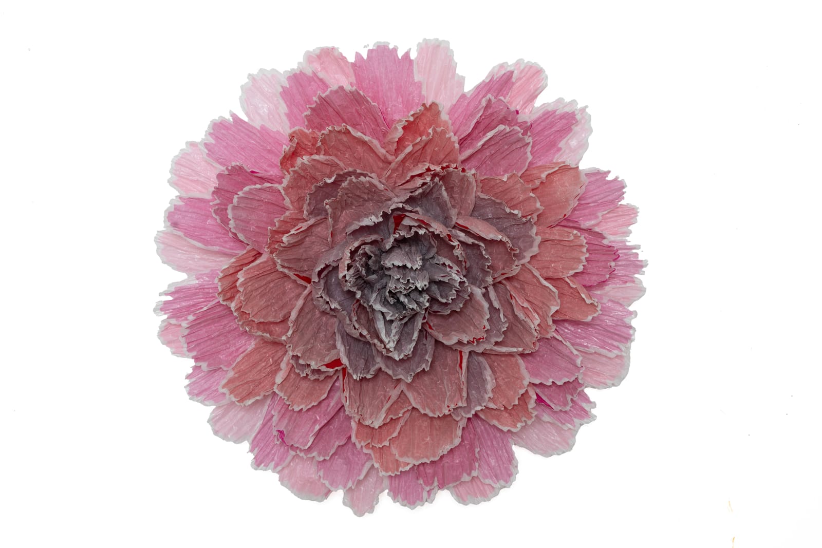 Marianne Eriksen Scott-Hansen, Red Rosette