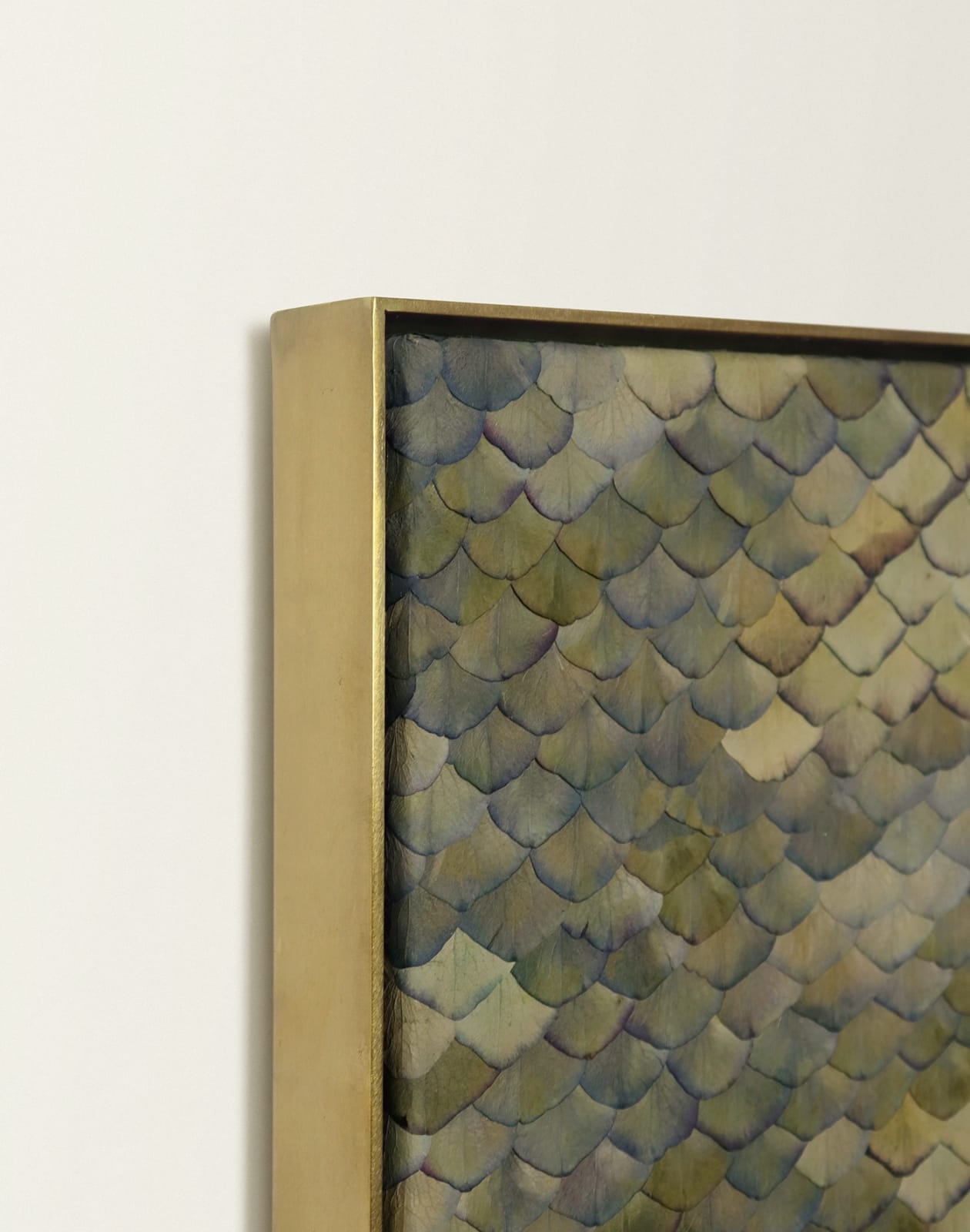 Zoé Imber, Inventory V, 2025