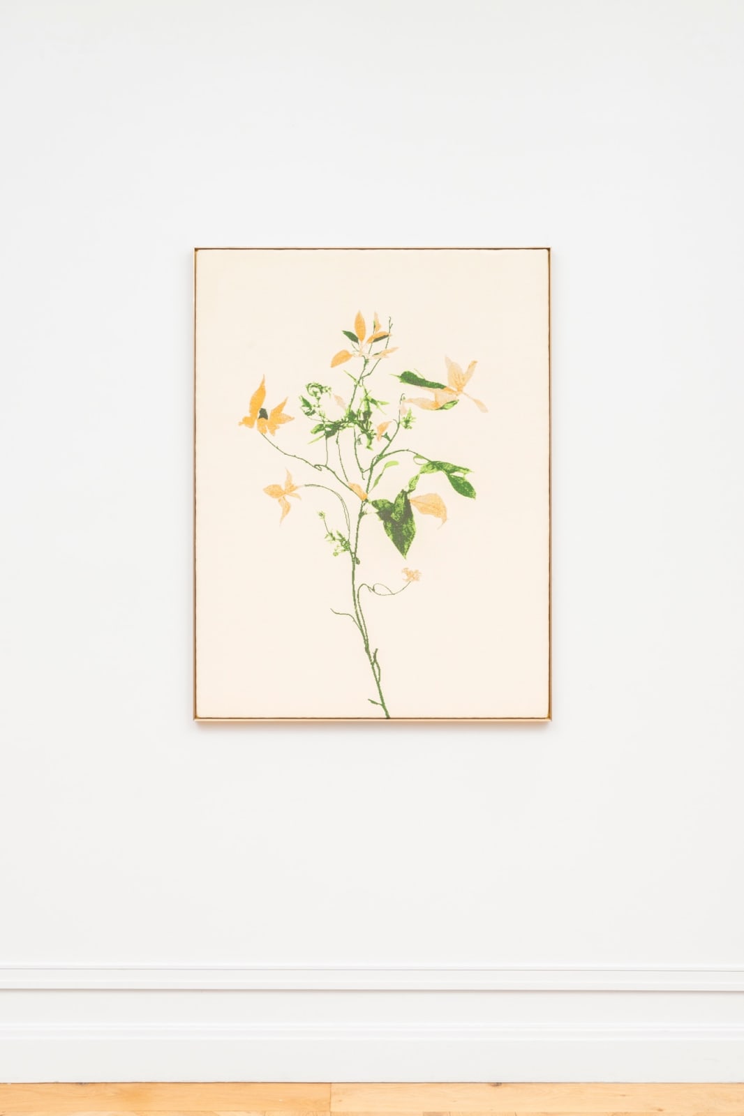 aurèce vettier, Arbor incongruens (initiating transmutation into peradam), 2025