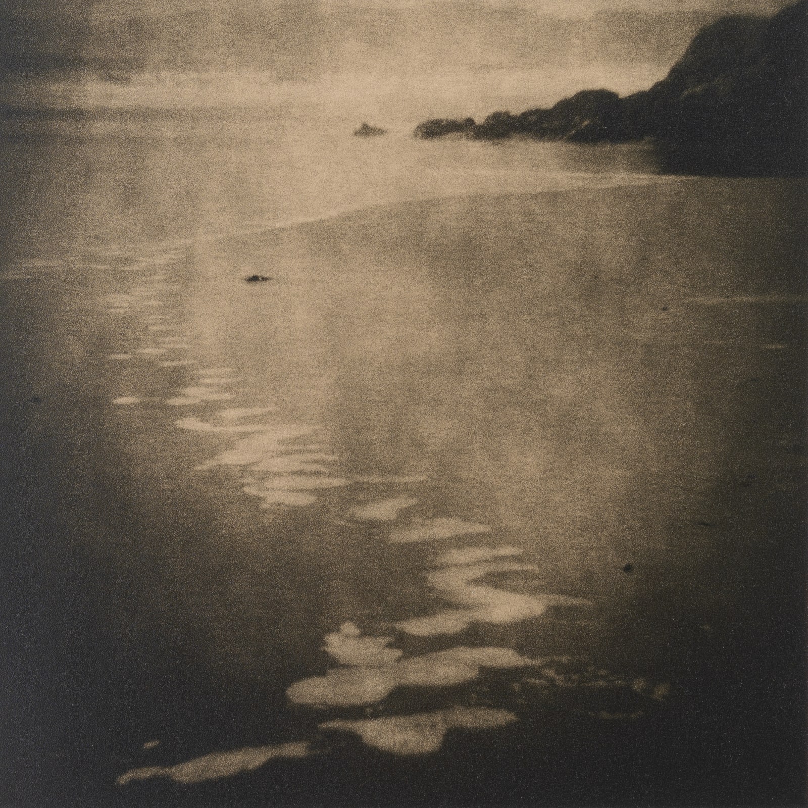 Lara Porzak, Shore Line, 2014