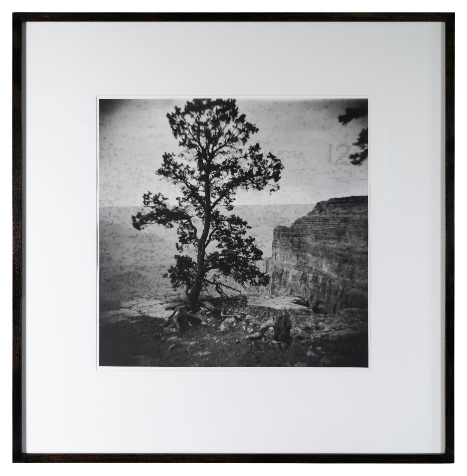 Lara Porzak, Fog 12, 2020