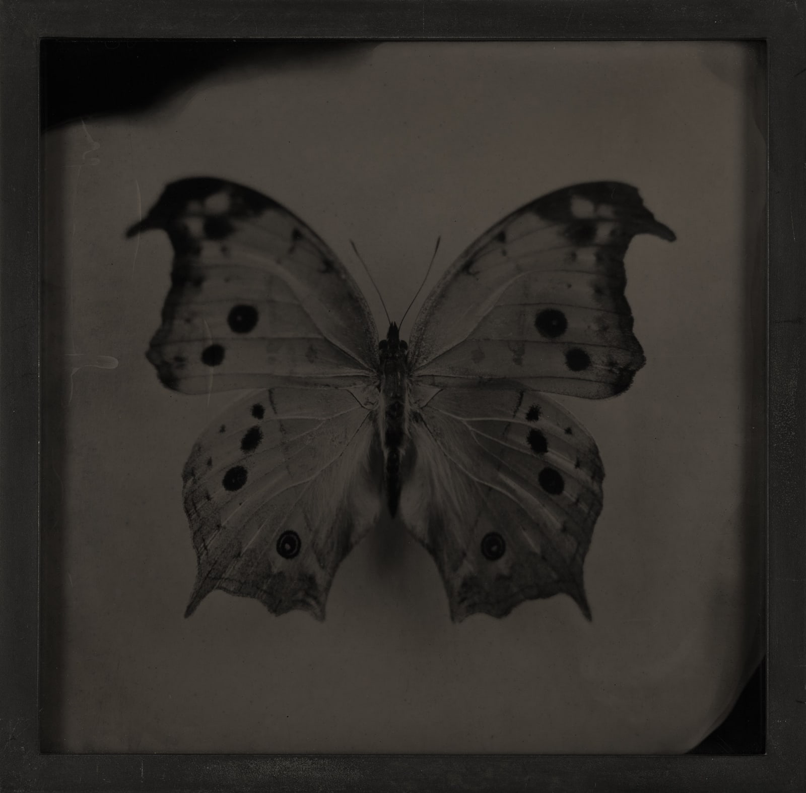 Lara Porzak, Storm III, 2015