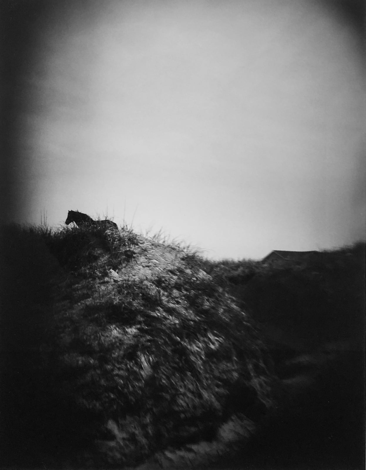 Lara Porzak, Dusk, Outer Banks, 2013