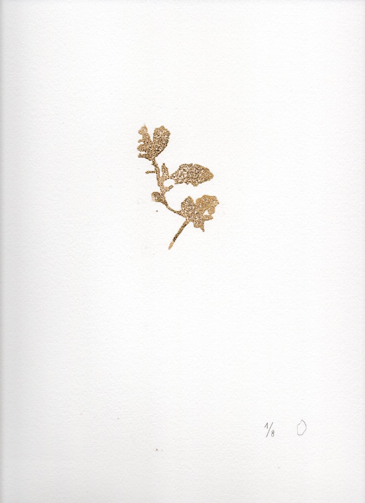 aurèce vettier, element/le4f/2, 2023