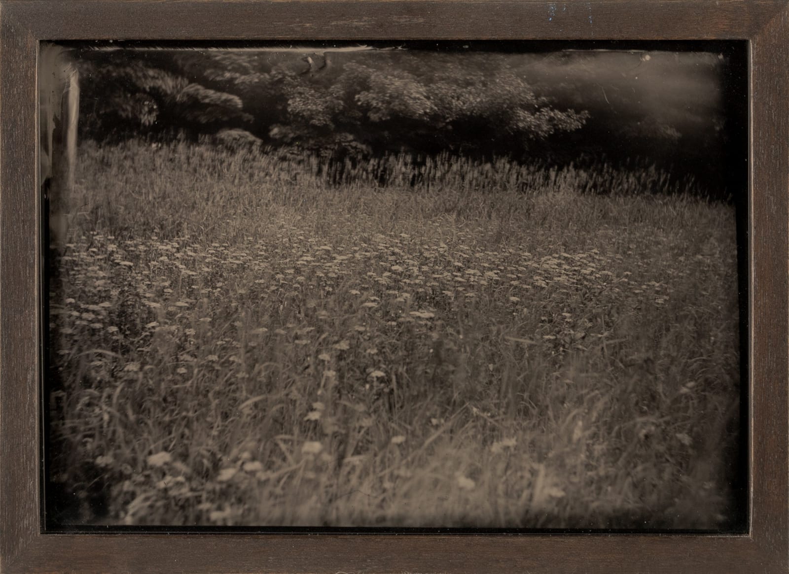 Lara Porzak, Christopher's meadow