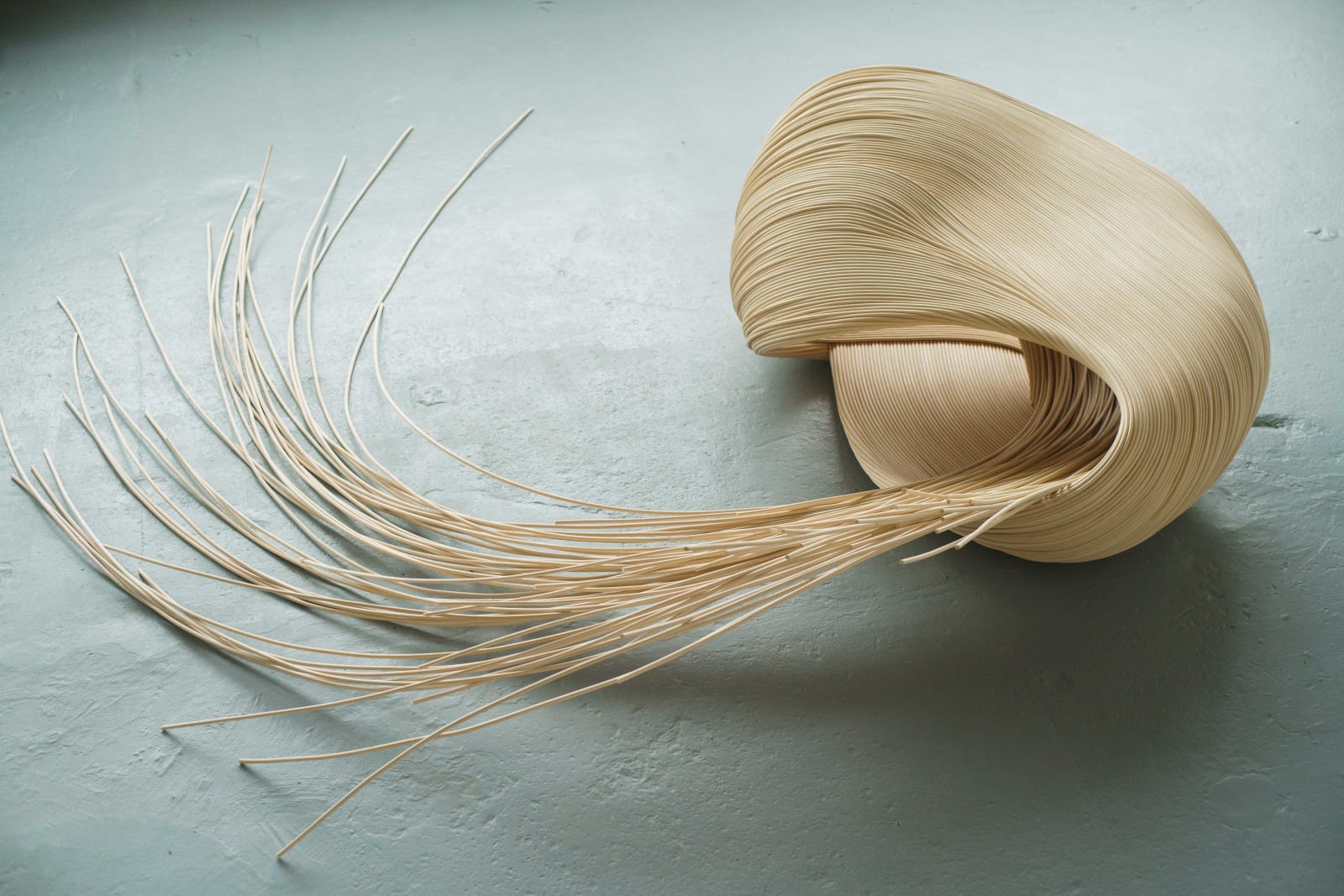 Aurelie Hoegy, Wild Fibers Coffee table, 2024