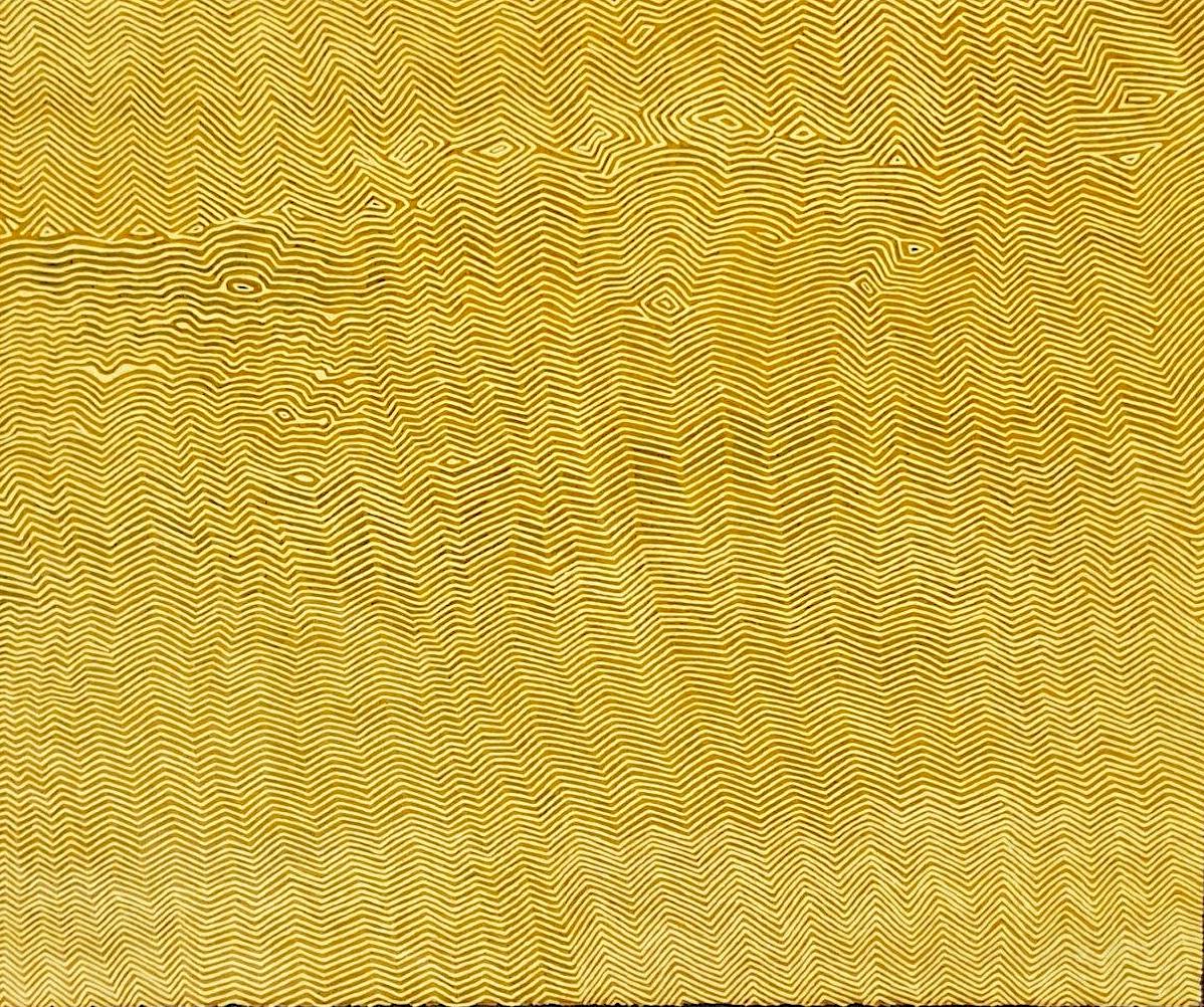 Kenny Williams Tjampitjinpa, Two Snake Ancestors at Karilwarra, 2002
