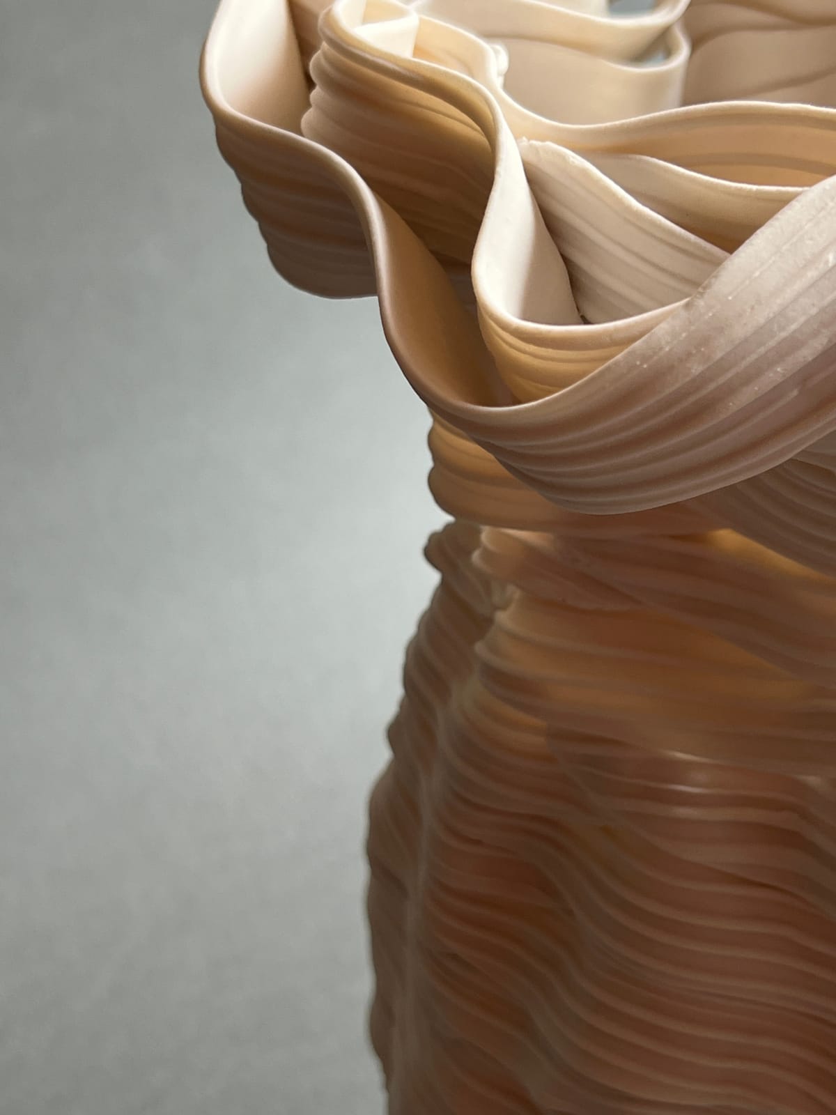 Leah Kaplan, Ribbon Rue, 2024