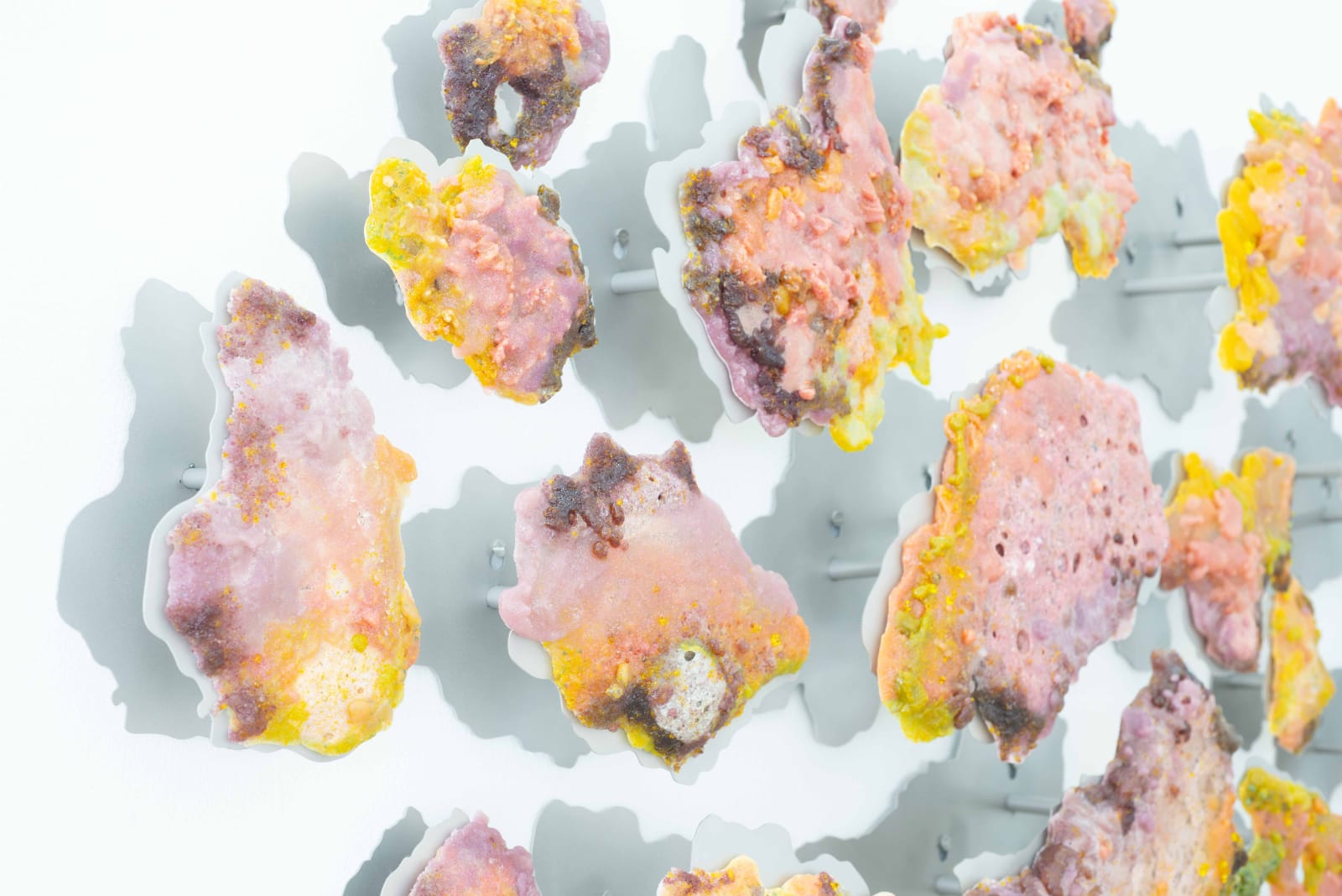 Damaris Athene, Gradient Shift, 2024