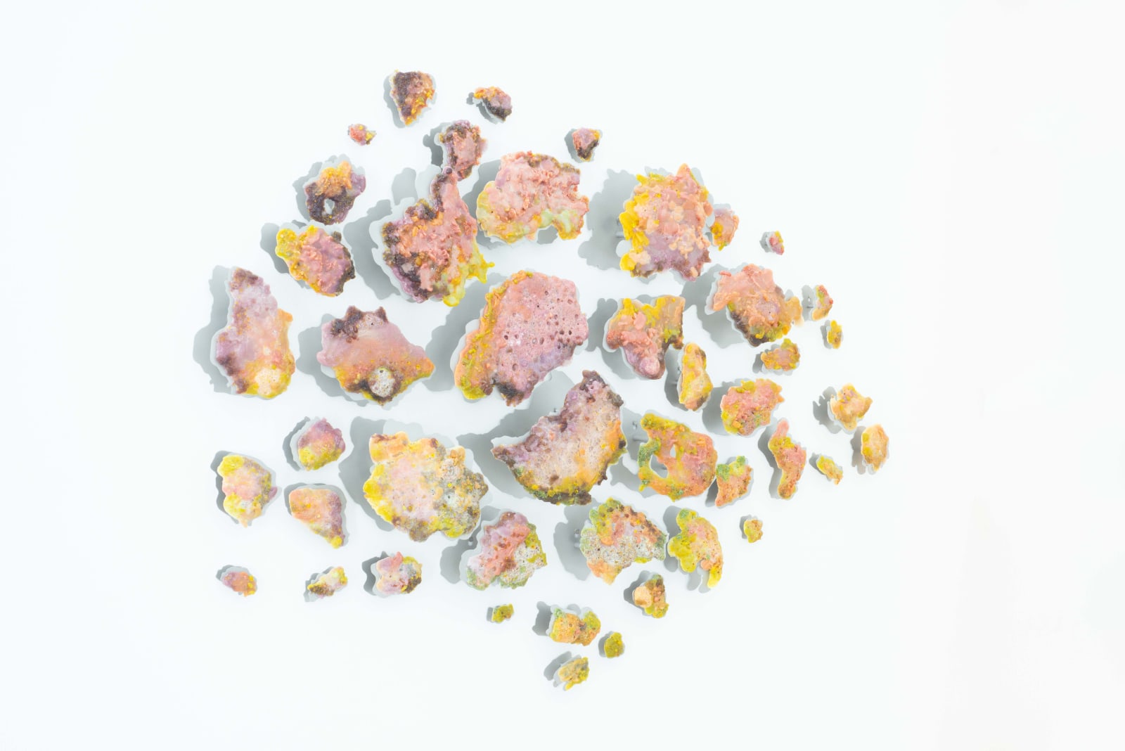 Damaris Athene, Gradient Shift, 2024