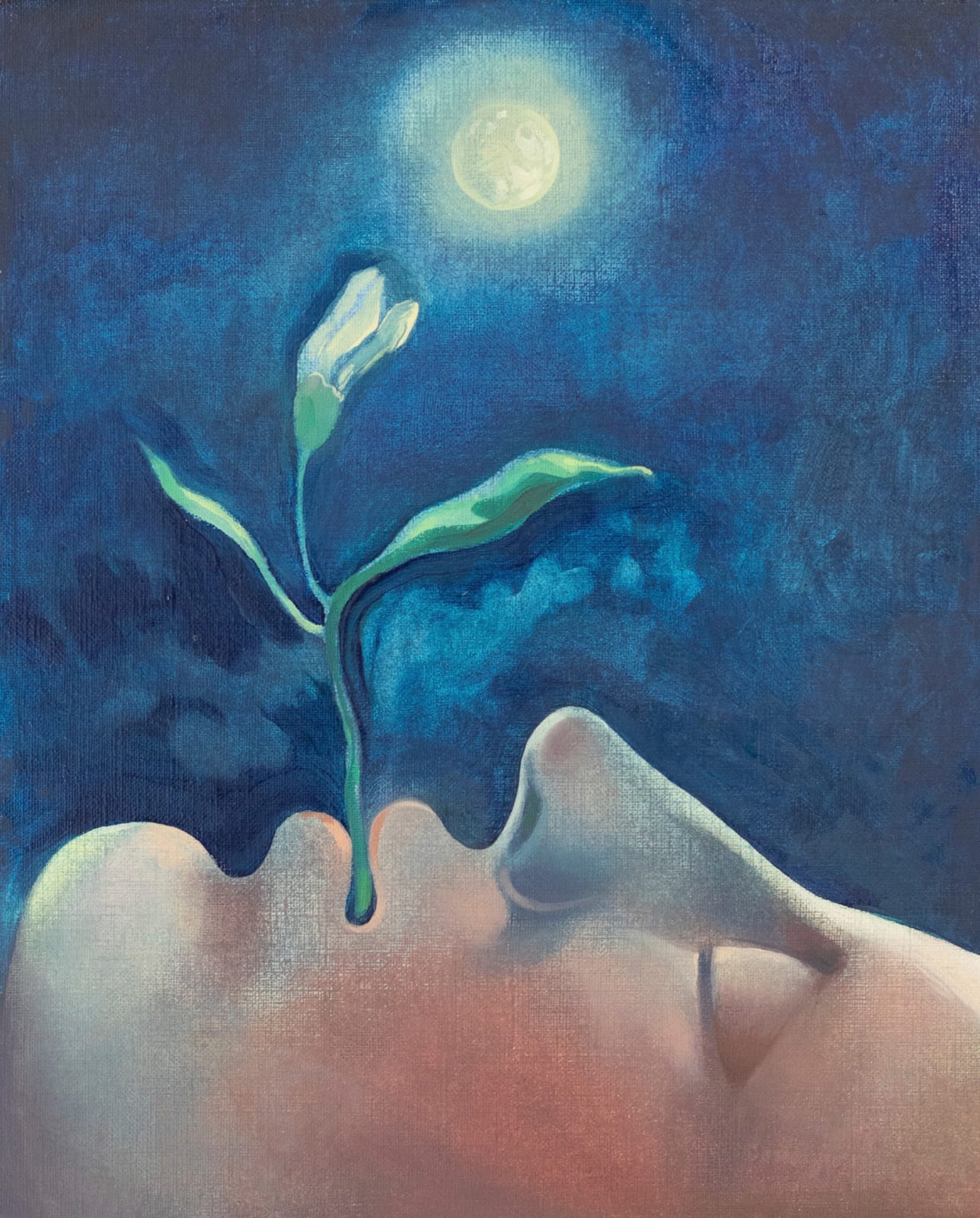 Mitko Karakolev, Night Profile, 2024