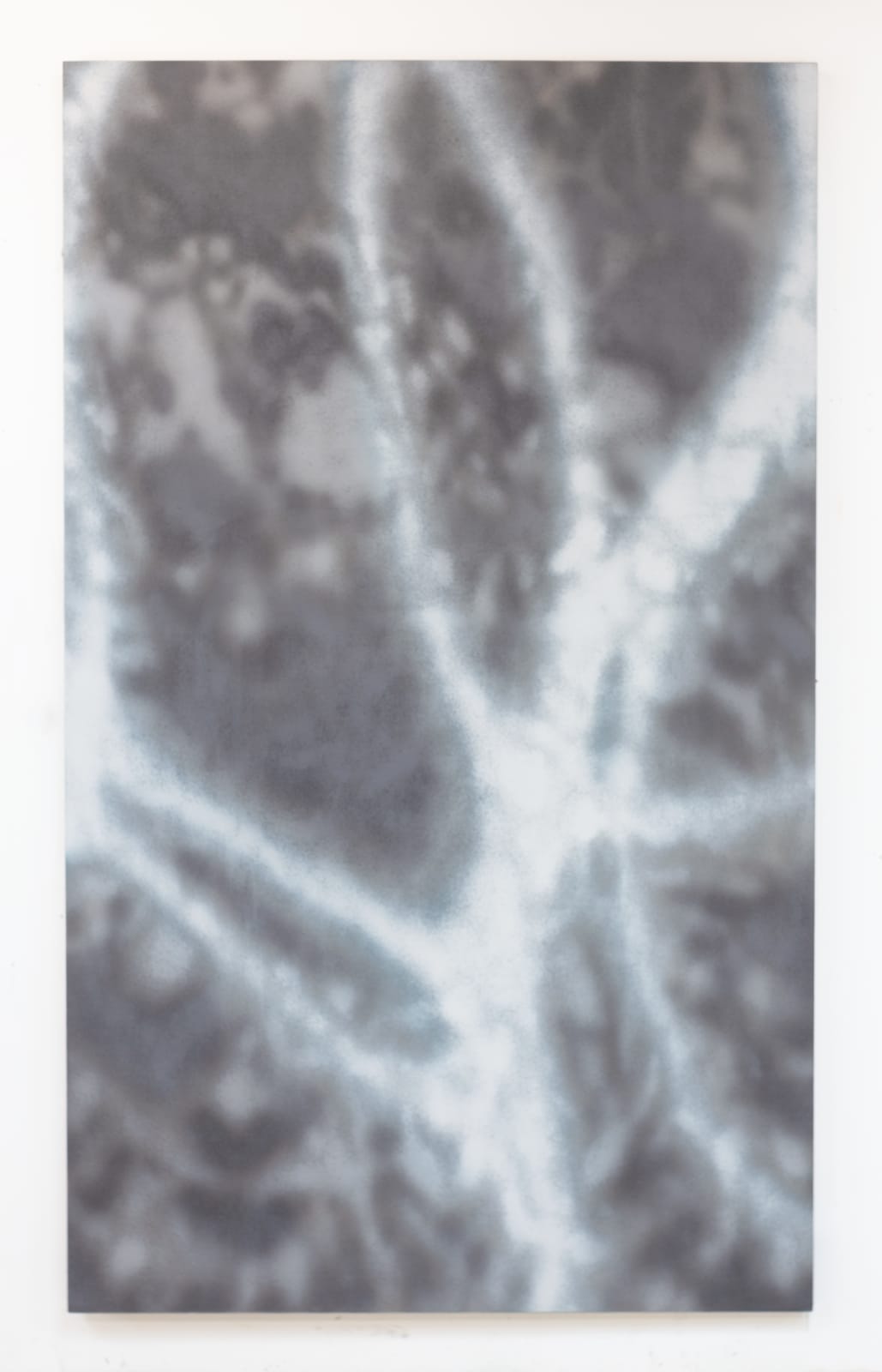 Lucas Dupuy, SStarlight, 2023