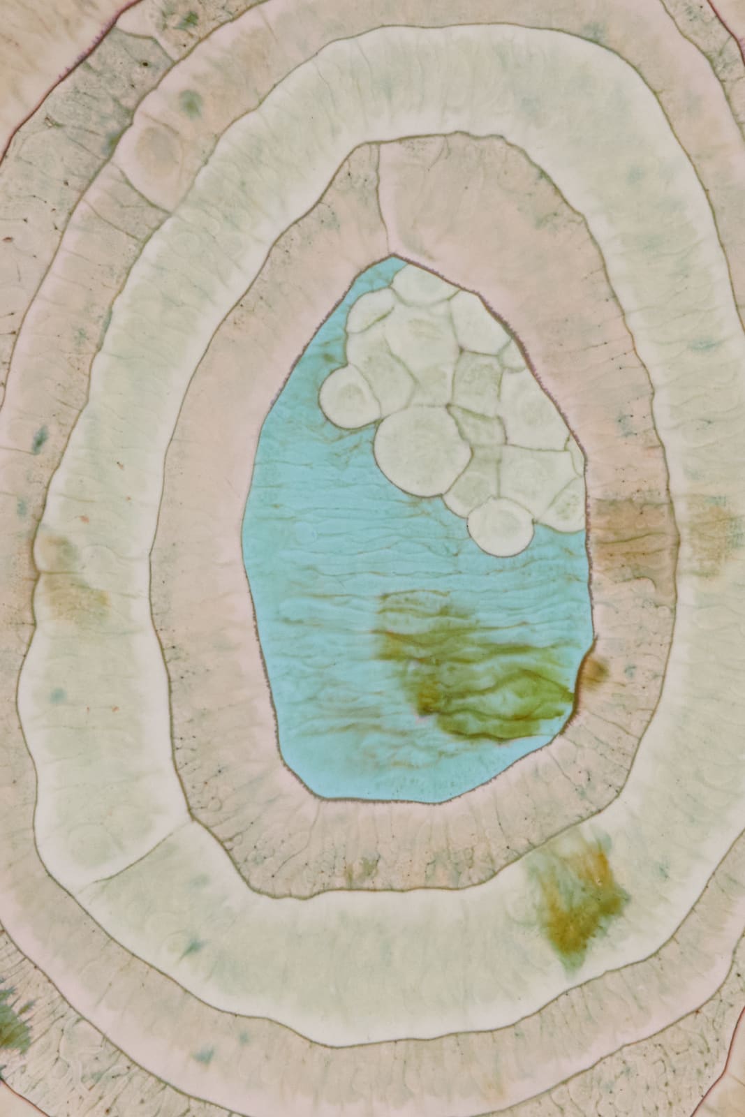 Tom Woolner, Internal Weather (Cumulus), 2021