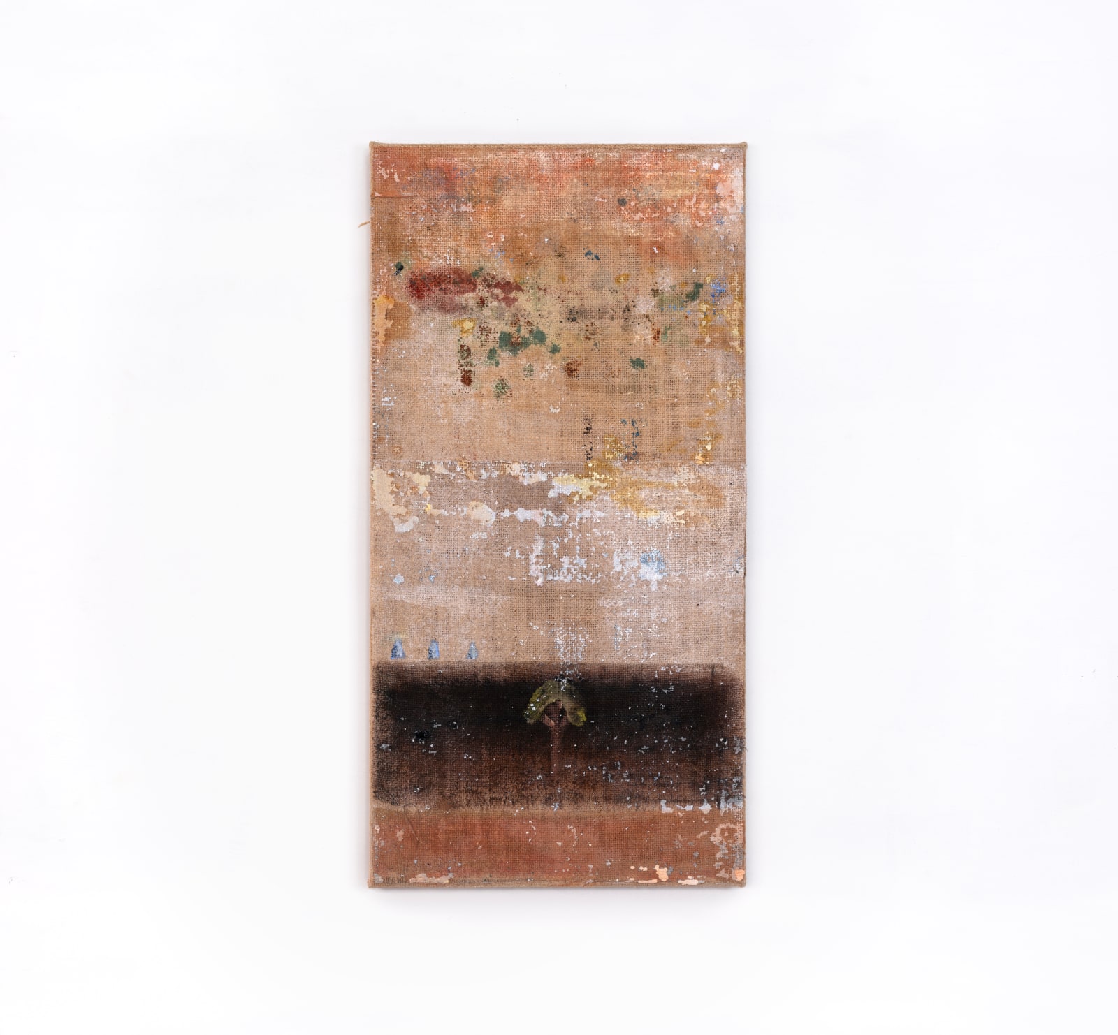 Piers Alsop, Sycomore, 2025