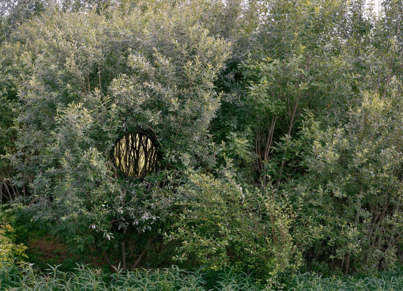 Antti Laitinen, Broken Landscape VII, 2019