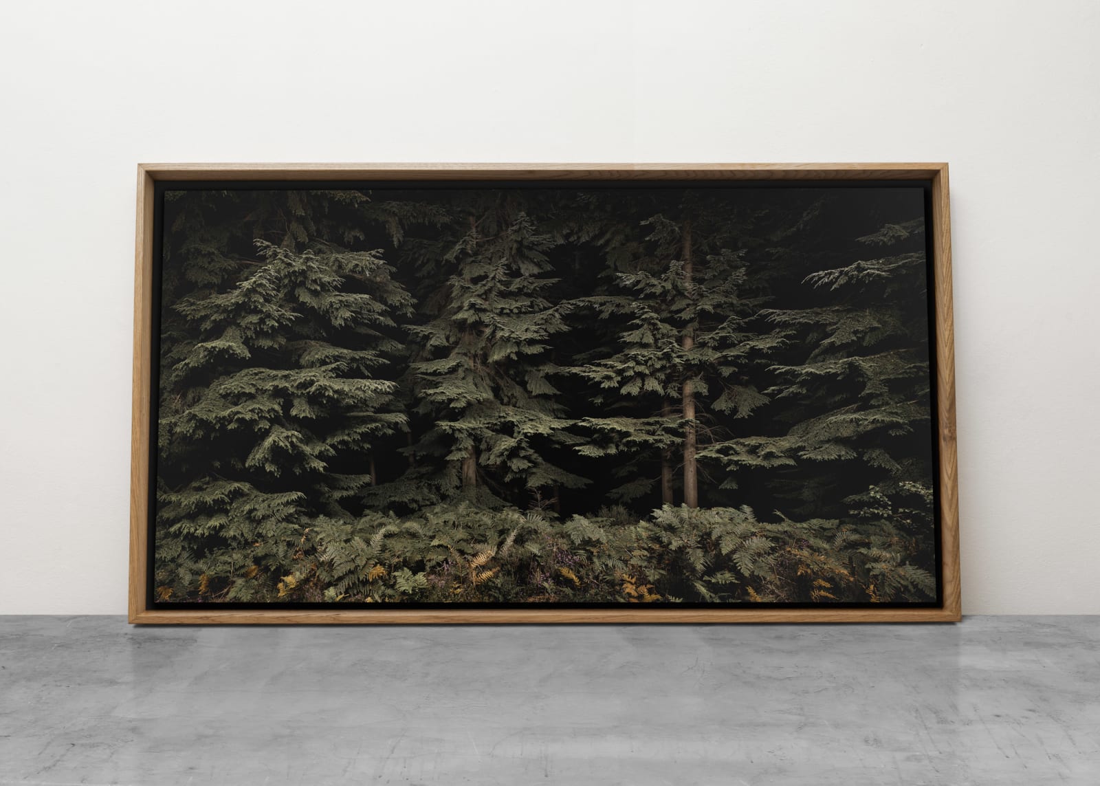 Jasper Goodall, Threshold, photograph, framed
