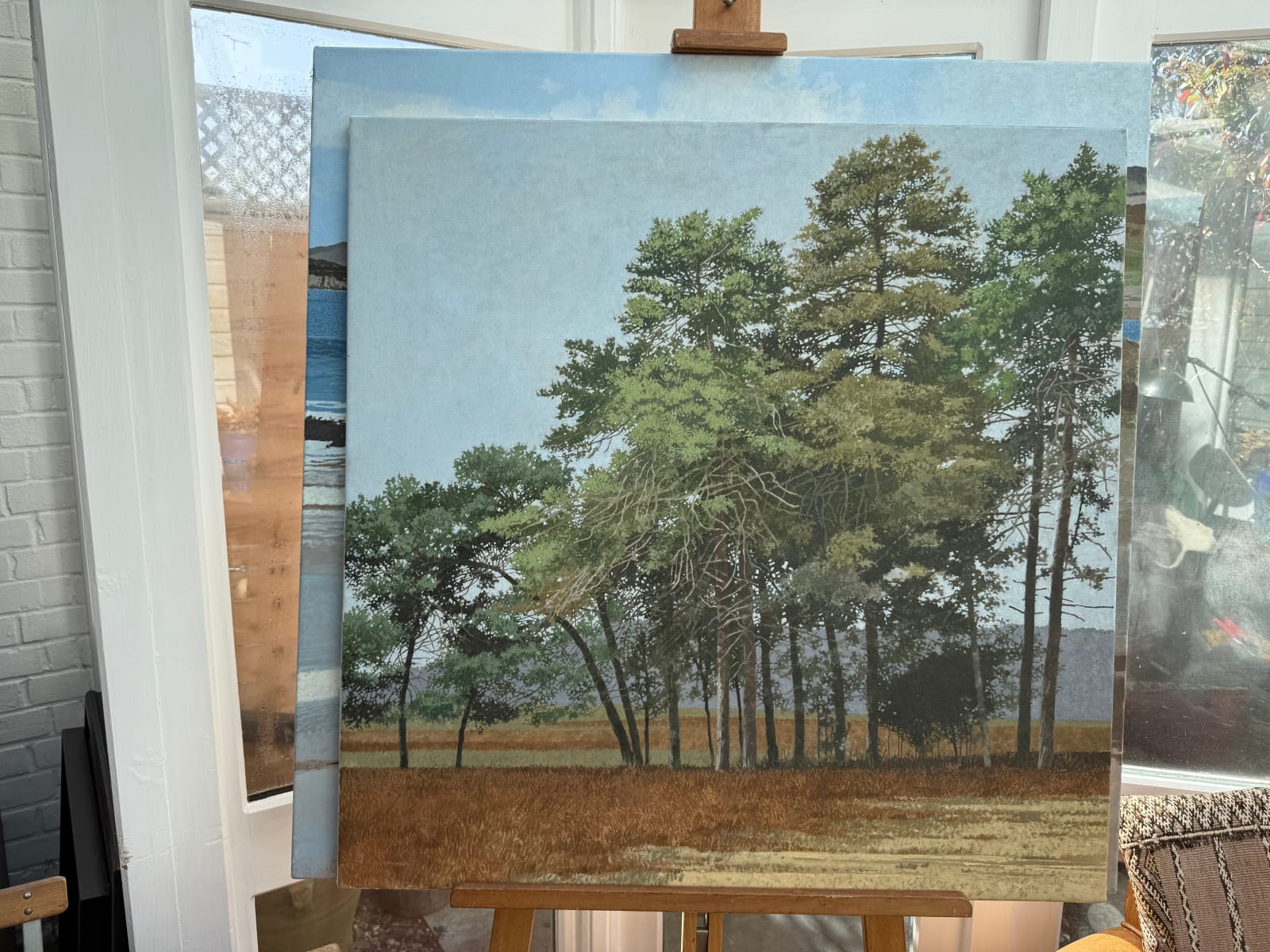 Ian Sidaway, New Forest Pines