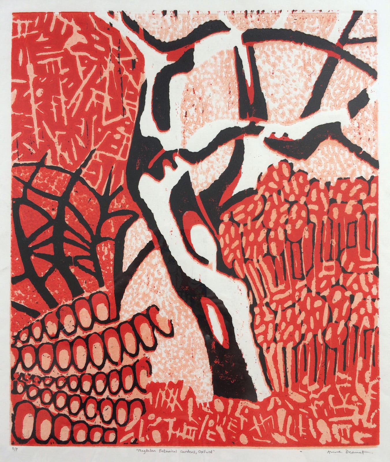 Anne Desmet R.A., In Magdalene Botanical Gardens, 1984