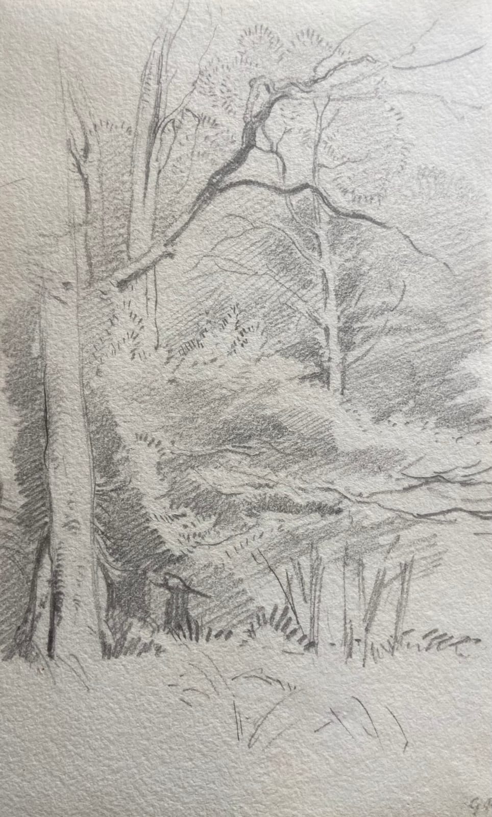 George Richmond, Ash Trees, drawing